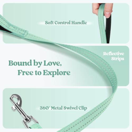 Dog Harness Small Sized and Leash Set (Moss Green / S (chest: 15.1 - 16.5"))