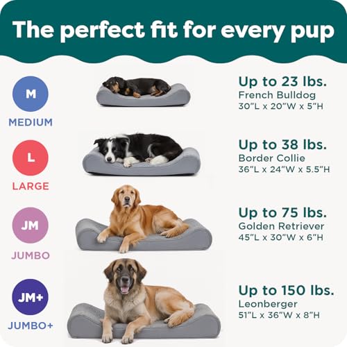 Orthopedic Dog Bed for Extra Large Dogs w (Giant/XXXL / Cream)