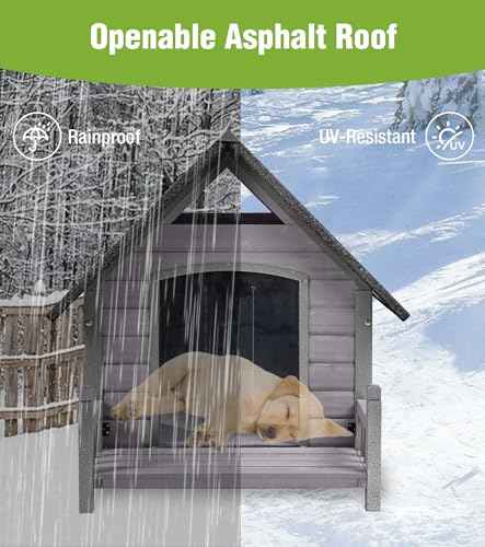 Heated Dog House Outdoor for Winter with Anti