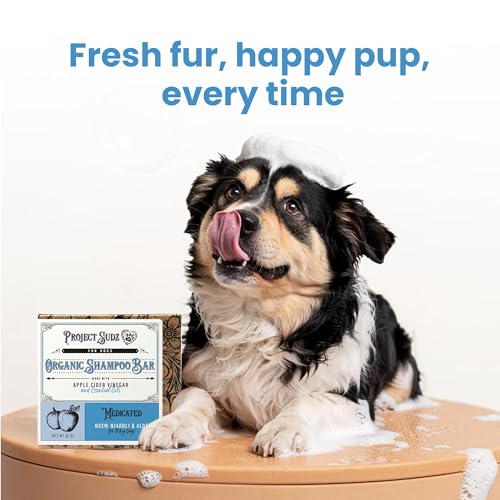 Medicated Dog Shampoo Bar for Dry