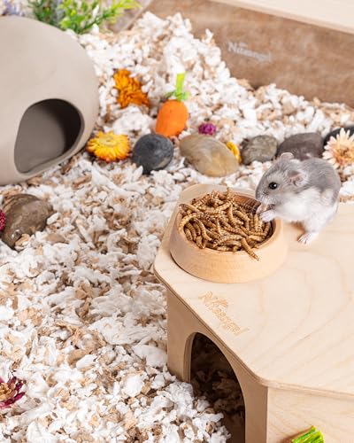 Small Animal Snack & Treats