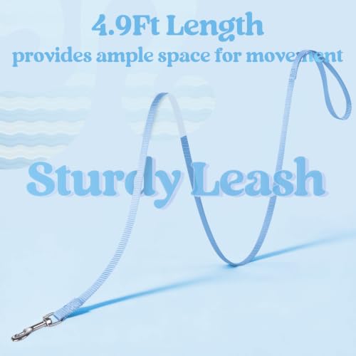 Cat Harness and Leash Set (L / Blue Wave)