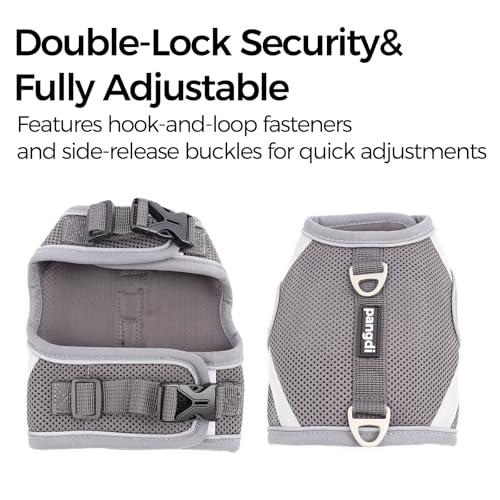 Cat Harness and Leash Set (Grey / XX-Large)