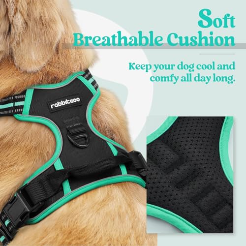 Dog Harness No Pull for Large Dogs with 2 Leash Clips (X-Large / Black & Turquoise)
