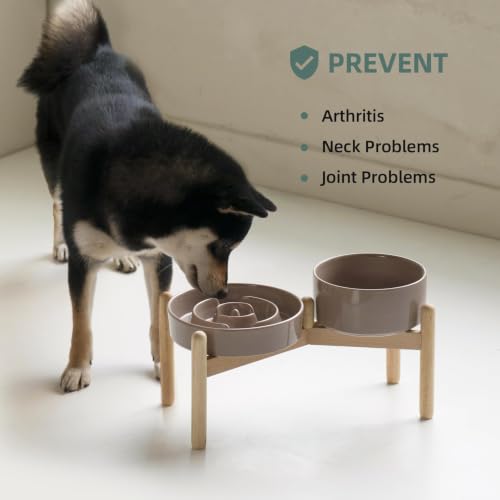 Elevated Slow Feeder Dog Bowls (Brown Coffee)