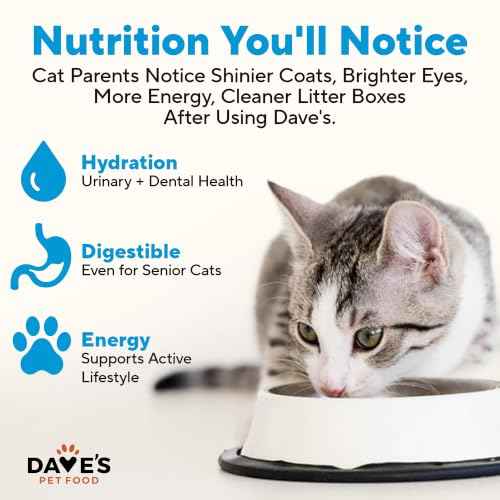 Grain Free Wet Cat Food (13 Ounce (Pack of 12))
