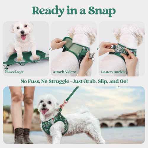 Dog Harness Small Sized and Leash Set (Rainforest Green / Xs (chest: 13.3 - 15.5"))