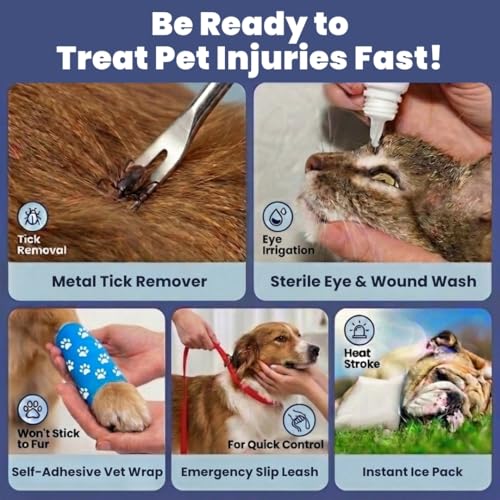 Dog First Aid Kit (Essential Kit)