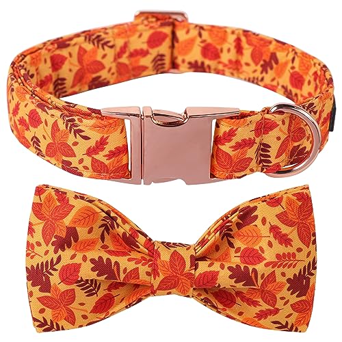 Dog Collar with Bowtie (A:Red Leaves / Small (Pack of 1))