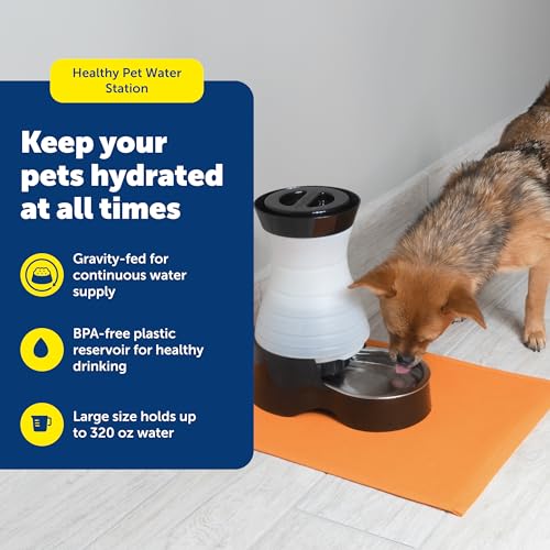 Healthy Pet Water Station (Waterer / Large)