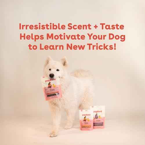 Soft & Chewy Training Treats for Dogs & Puppies (10 Ounce (Pack of 2))