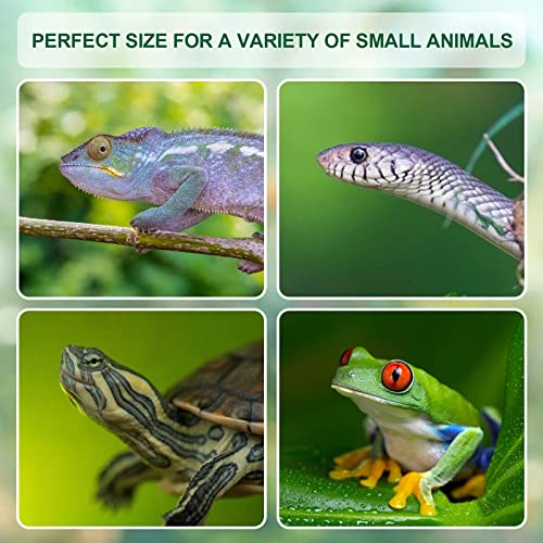 Acrylic Reptile Terrarium Breeding Tank Enclosure 11.4"x7.7"x5.9" (Small)