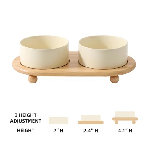 Raised Cat Bowl