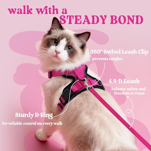 Cat Harness and Leash Set (Xxs / Rose Red)