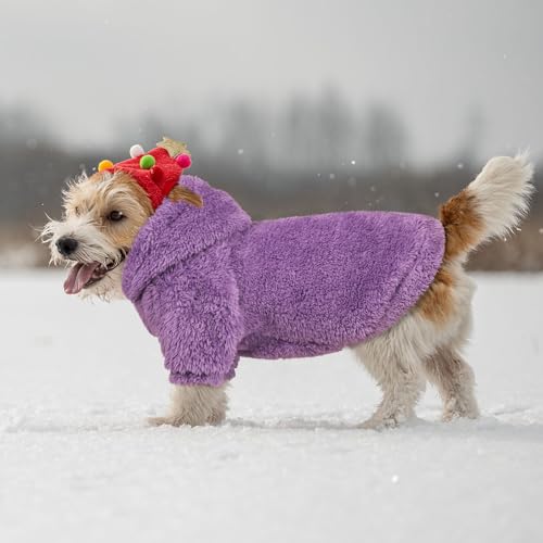 Fuzzy Dog Hoodie (X-Small / Purple)