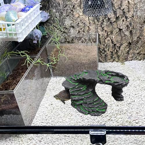 Large Bearded Dragon Hideout