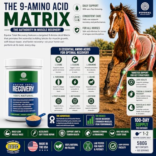 Feeds Equine Total Recovery Supplement (580 Grams)