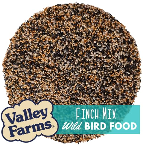 Wild Finch Mix