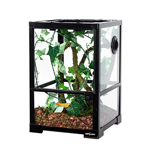 Amphibian Habitat Tank 10 Gallon
