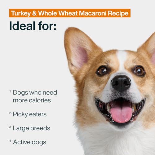 Pantry Fresh Wet Dog Food Complete Meal or Dog Food Topper (12.5 Ounce (Pack of 12))