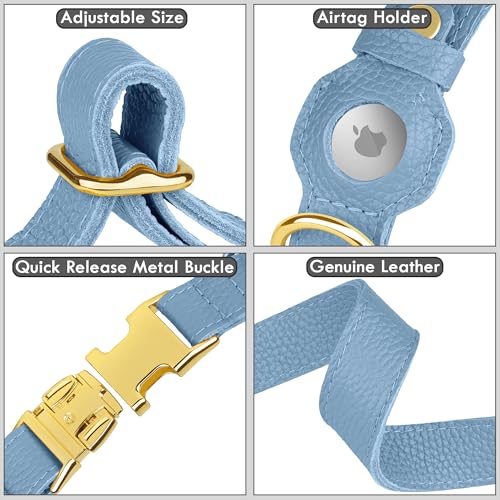 Leather Airtag Dog Collar (Cornflower / XS, 9"-12" Neck Fit)