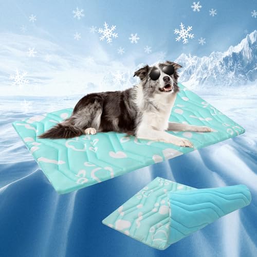 Cooling Mat for Large Dogs (Aqua Blue / 48.0"L x 28.0"W x 1.0"Th(L))