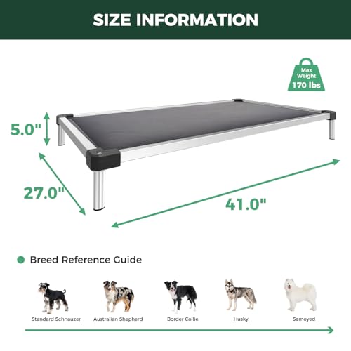 TitanNest Padded Chew (Gray / Medium Dog (41.0"L x 27.0"W x 5.0"H))