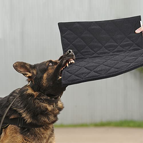 Indestructible Dog Bed (Black / Large (28" x 41"))