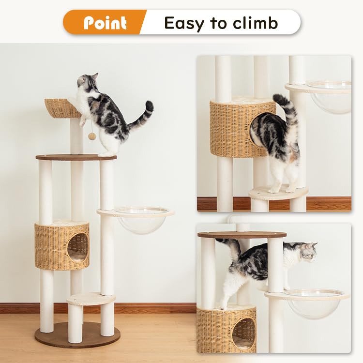 Modern Cat Tree for Large Cat (Brown Y909)