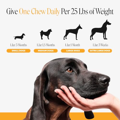 Dog Allergy Chews for Itch & Allergy Relief (90 Count)