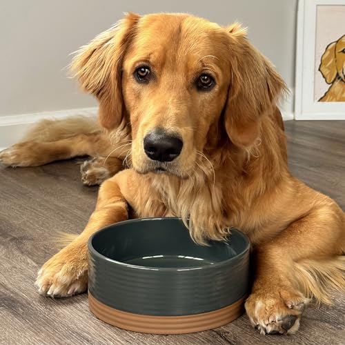 Ceramic Pet Bowl Size Medium (Medium / Charcoal)