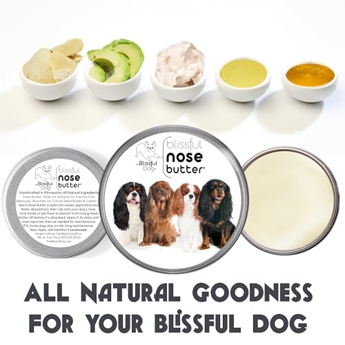 Cavalier King Charles Spaniel Nose Butter (Cavalier King Charles Spaniel - All / 2 Ounce)