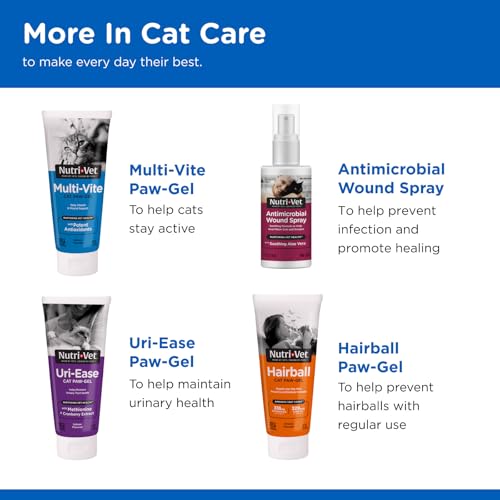 Kitten Milk Replacer (12 Ounce (Pack of 1))
