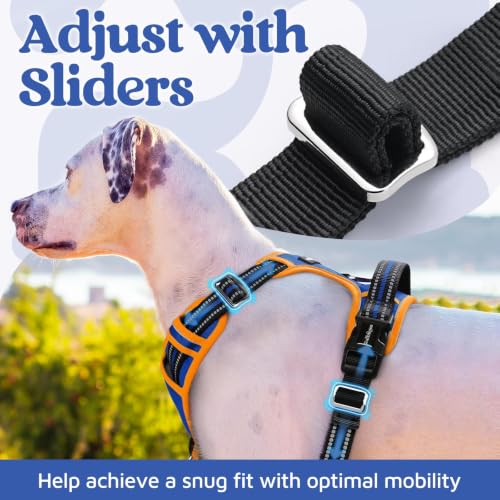 Dog Harness Medium Sized (Royal Blue & Orange / Medium)