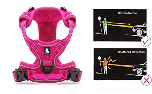 Truelove No Pull Dog Harness with Easy Control Handle and 2 Leash Attachments (Medium / Fuchsia)
