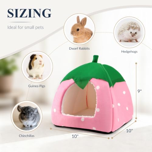 Guinea Pig Hideout (Red & Pink)