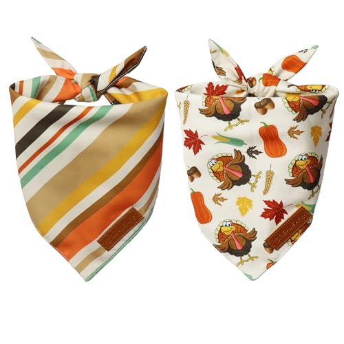 Thanksgiving Dog Bandanas 2 Pack (Thanksgiving / X-Large)