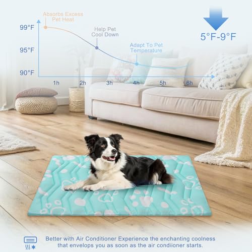 Cooling Mat for XLarge Dogs (Aqua Blue / 59.0"L x 40.0"W x 1.0"Th(XL))