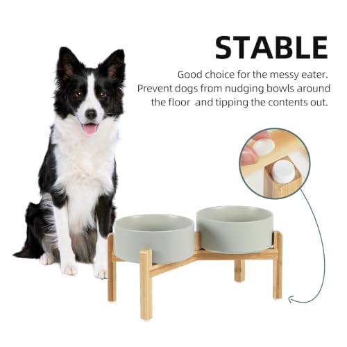 Dog Bowls Elevated (Matte Gray)