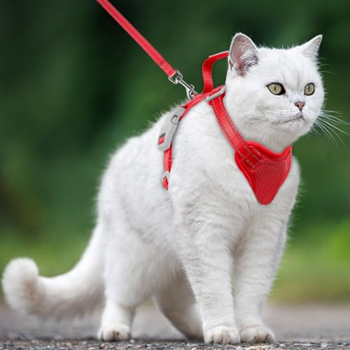 Cat Harness and Leash Set Escape Proof for Kitten Walking (XX-Small / Red)