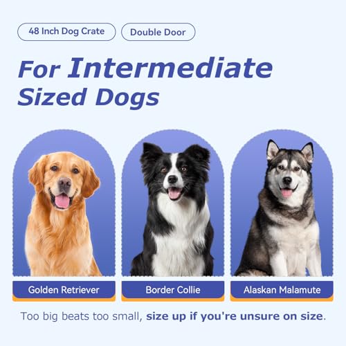 48" Foldable Metal Dog Crate (Dark Black)