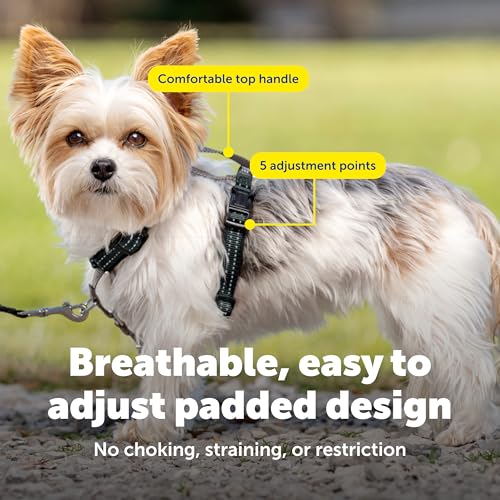 3 in 1 No Pull Dog Harness