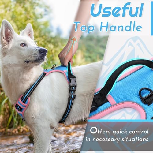 Dog Harness for Small Dogs (Small / Pink & Sky Blue)