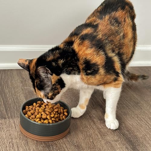 Ceramic Pet Bowl Size Small (Small / Charcoal)