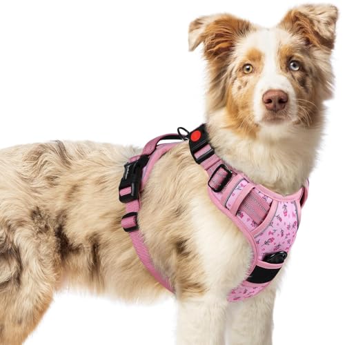 Dog Harness Medium Sized (Floral Pink / Medium)