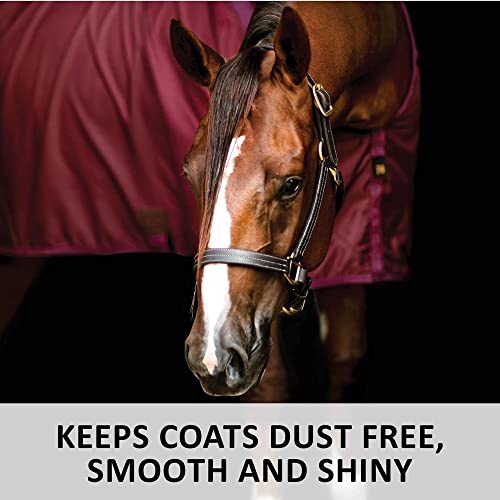 Dura Nylon Horse Stable Sheet (Horse Size 68 / V-Free | Closed Front | Legstrap / Red)