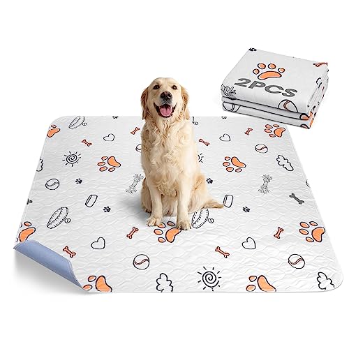 Washable Pee Pads for Dogs (Gray / 41X41 (2 Packs))