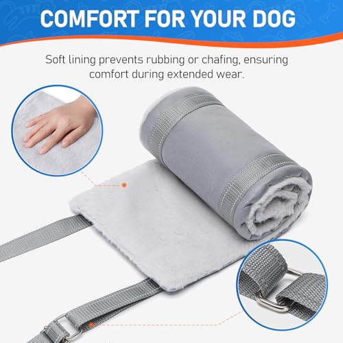 Extra Large Dog Lift Harness (Grey / XX-Large)