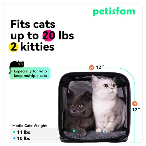 Soft Pet Carrier Bag for Cats and Puppy Under 20 lbs. Sturdy (Grey)