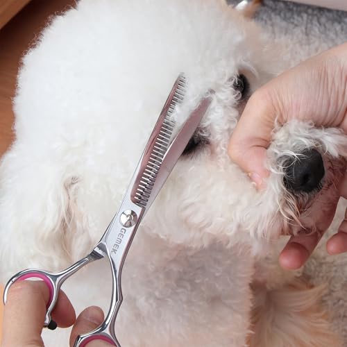 Dog Grooming Scissors with Safety Round Tips Stainless Steel (Rose)